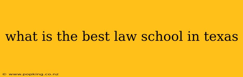 what is the best law school in texas