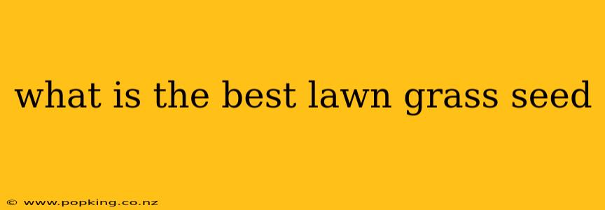 what is the best lawn grass seed