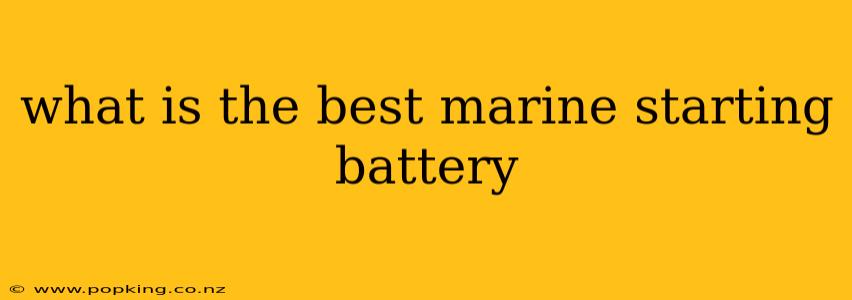 what is the best marine starting battery