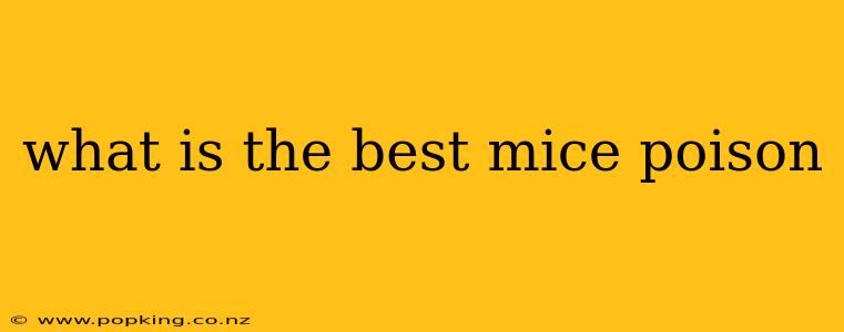 what is the best mice poison