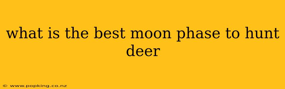 what is the best moon phase to hunt deer