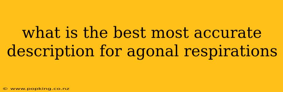 what is the best most accurate description for agonal respirations