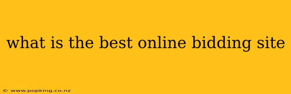 what is the best online bidding site