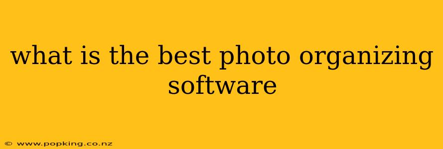 what is the best photo organizing software