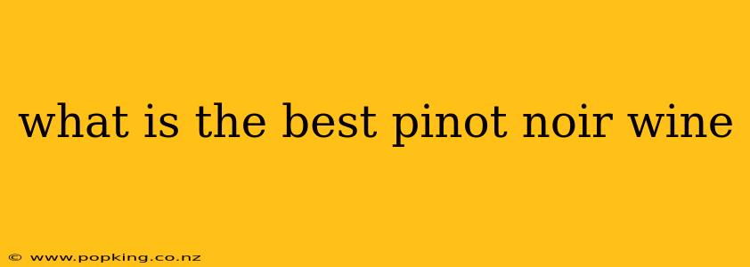 what is the best pinot noir wine