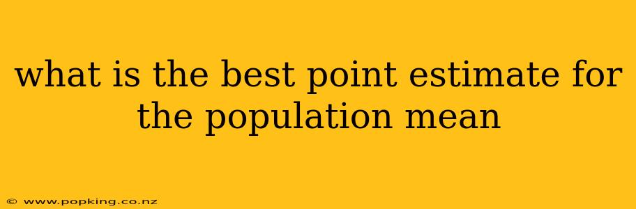 what is the best point estimate for the population mean