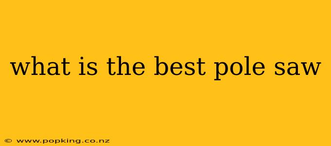 what is the best pole saw