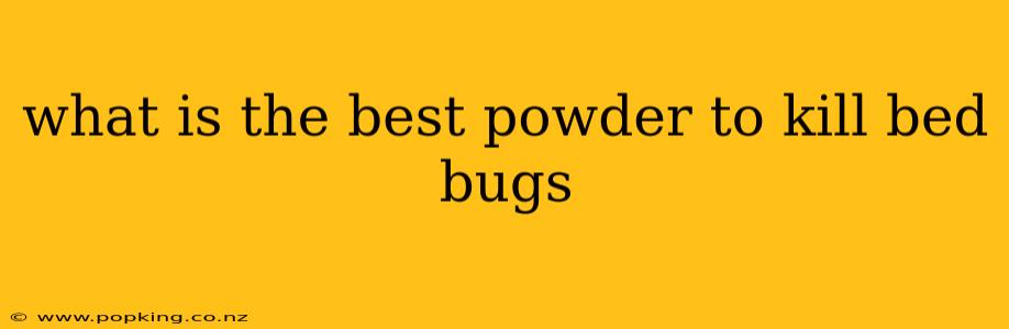 what is the best powder to kill bed bugs