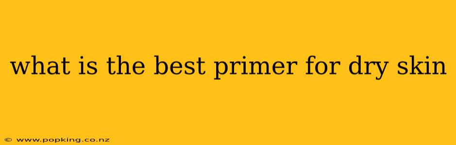 what is the best primer for dry skin