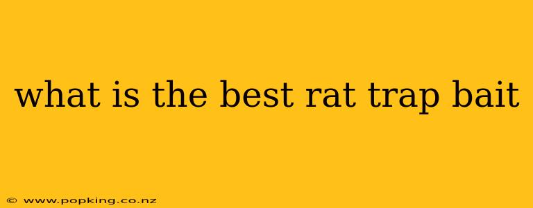 what is the best rat trap bait