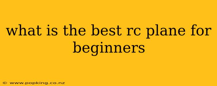 what is the best rc plane for beginners