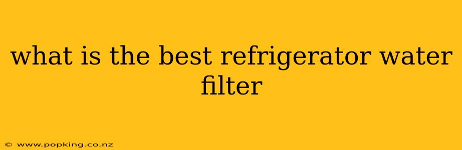 what is the best refrigerator water filter