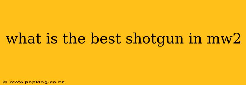 what is the best shotgun in mw2