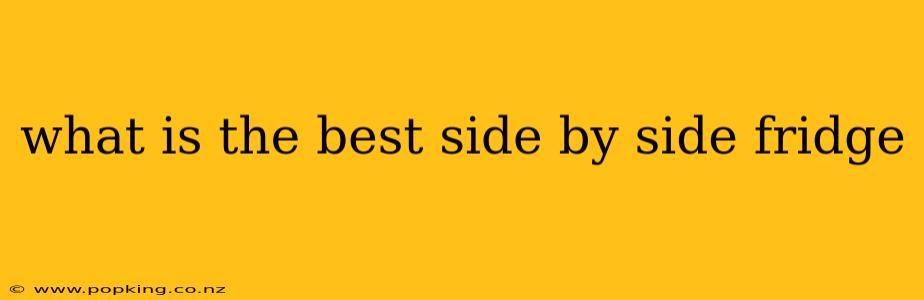 what is the best side by side fridge