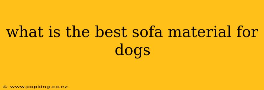what is the best sofa material for dogs