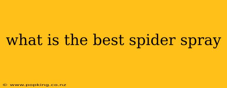 what is the best spider spray