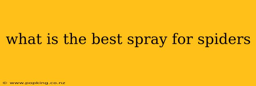 what is the best spray for spiders
