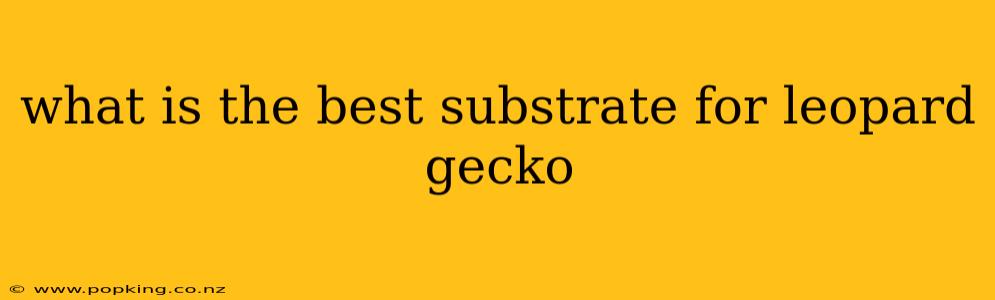 what is the best substrate for leopard gecko