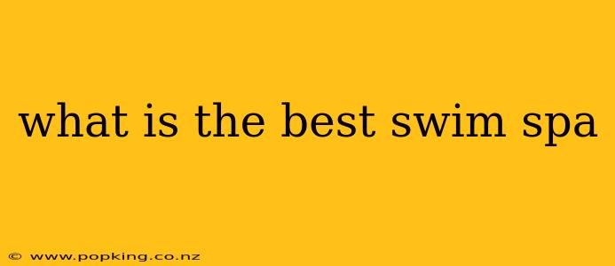 what is the best swim spa
