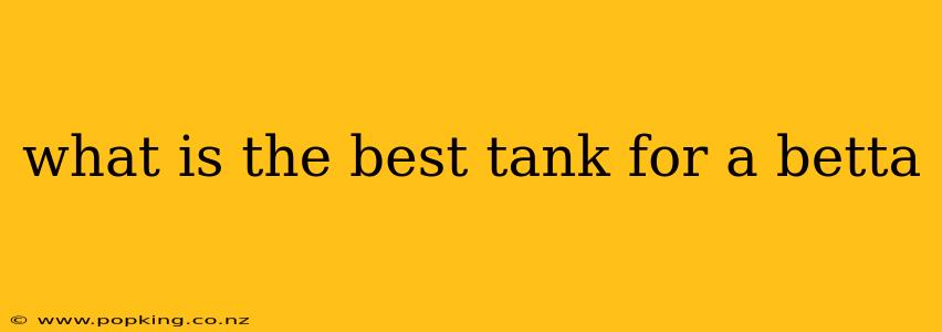 what is the best tank for a betta