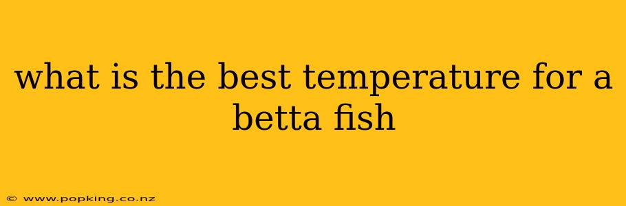 what is the best temperature for a betta fish