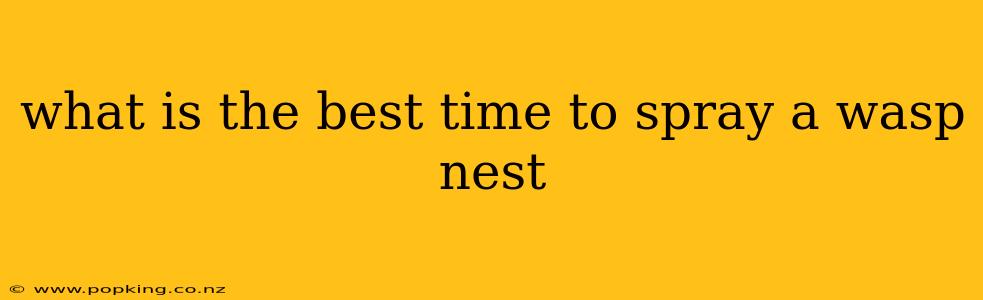what is the best time to spray a wasp nest