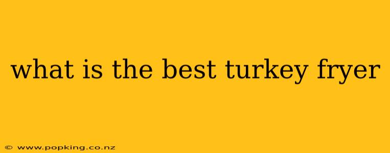 what is the best turkey fryer