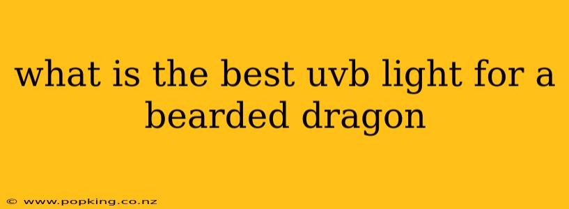 what is the best uvb light for a bearded dragon