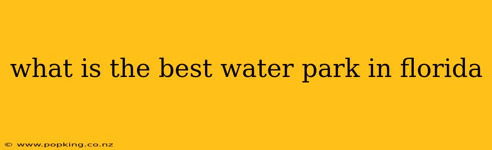 what is the best water park in florida