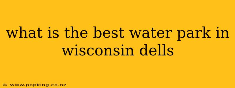 what is the best water park in wisconsin dells
