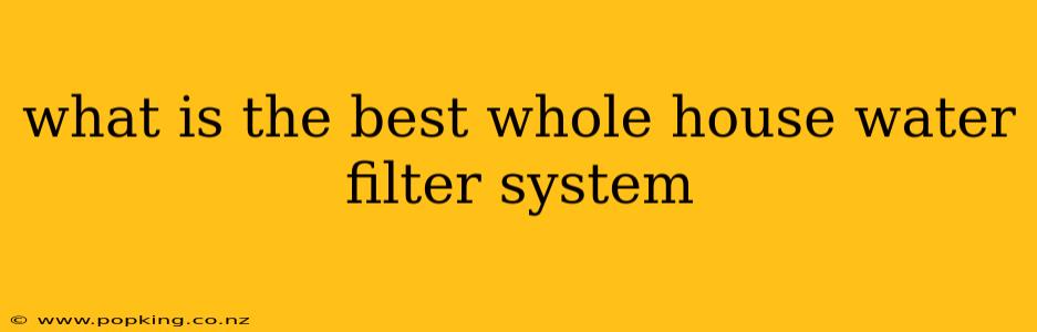 what is the best whole house water filter system