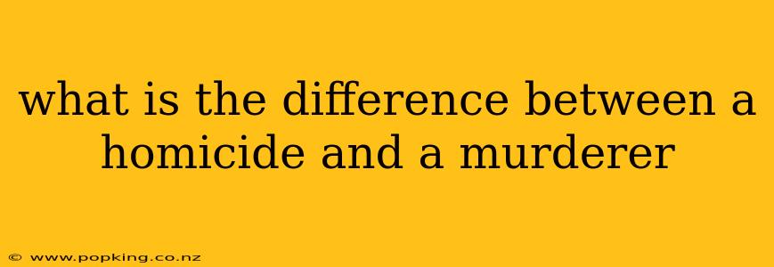 what is the difference between a homicide and a murderer