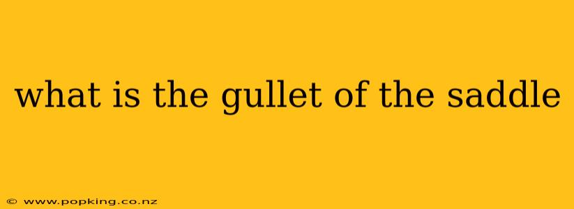 what is the gullet of the saddle