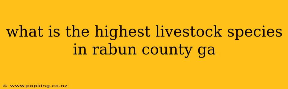 what is the highest livestock species in rabun county ga
