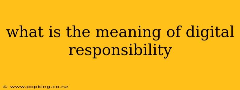what is the meaning of digital responsibility