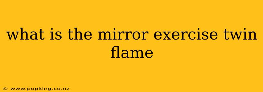 what is the mirror exercise twin flame