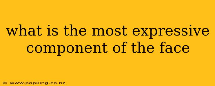 what is the most expressive component of the face