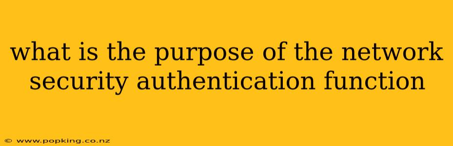 what is the purpose of the network security authentication function