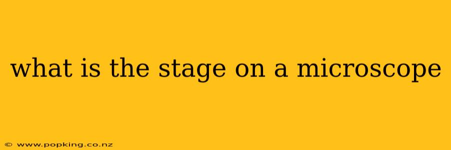 what is the stage on a microscope