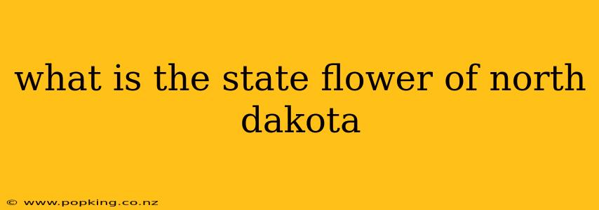 what is the state flower of north dakota