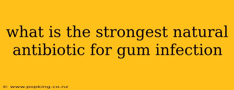 what is the strongest natural antibiotic for gum infection