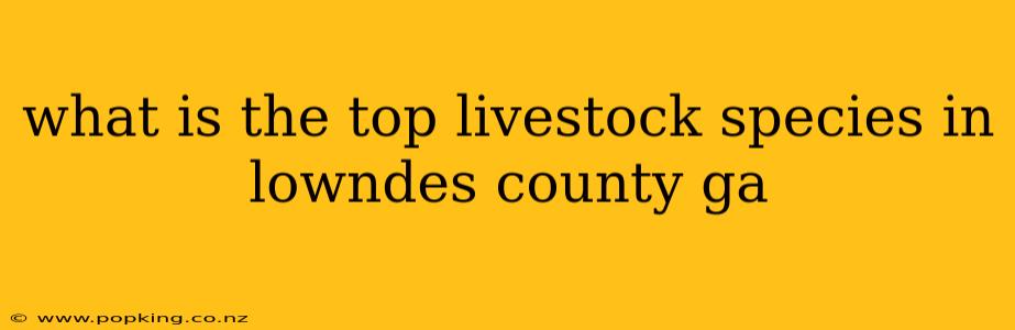 what is the top livestock species in lowndes county ga