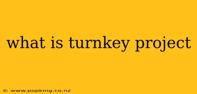 what is turnkey project