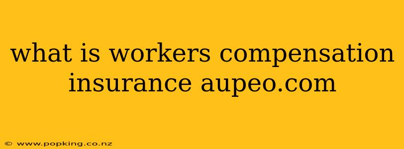 what is workers compensation insurance aupeo.com