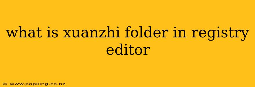what is xuanzhi folder in registry editor