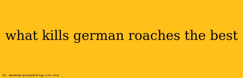 what kills german roaches the best