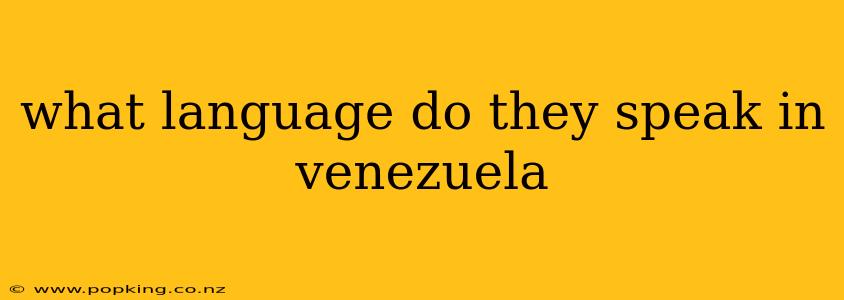 what language do they speak in venezuela