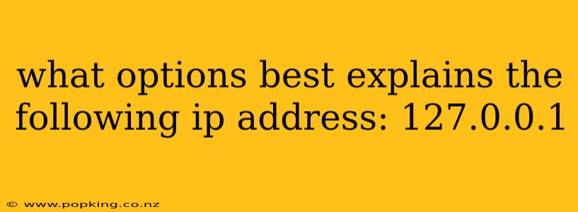 what options best explains the following ip address: 127.0.0.1
