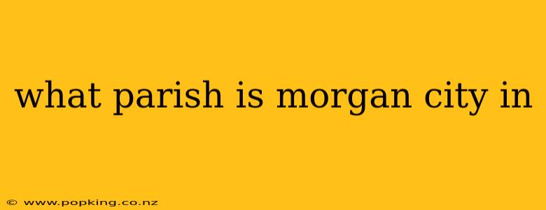 what parish is morgan city in