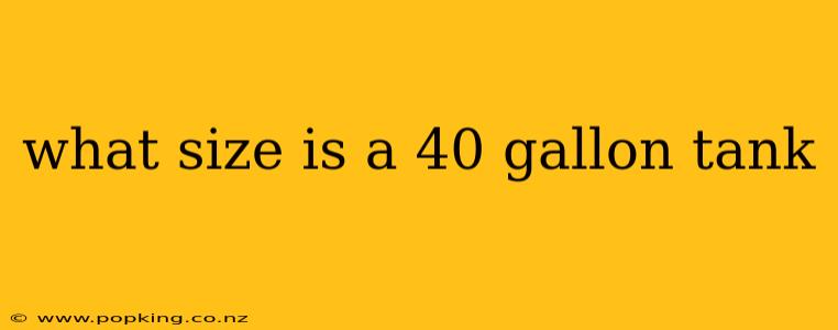 what size is a 40 gallon tank